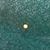 Kyap Webster's profile image