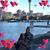 Samantha Lucas's profile image