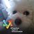 Bonnie Berkovits's profile image