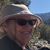 Sharon Wells's profile image