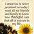 Christine Suess Ginnett's profile image