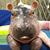 Teri Corrigan Kilgore's profile image