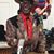 Chakaipa Mhembere's profile image