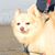 Darriel Prestegaard's profile image