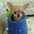 Mindi Memel's profile image