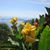 Linda Rosenbaum McClurg's profile image