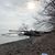 Debbie Gustafson's profile image