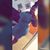 Ivory Hylton's profile image
