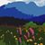 Debbie Tranmer's profile image
