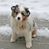 Jessie-Jean Pustis's profile image