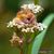 Kathleen Cole-Cook's profile image