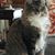 Betsy C Birdsong's profile image