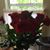 Jacquelyn Schaefer Daniels's profile image
