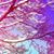 Joyce Akers's profile image