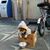 Jessica Heeringa's profile image