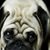 Edgar Light's profile image