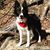 JeanneLove Ferguson's profile image