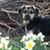 Patty Brant's profile image