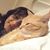 Samantha Jayewardene's profile image