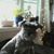 Jenny O'Connor Yake's profile image