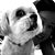 Faye P's profile image