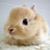 Lily Smithfield's profile image