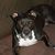 Marie 'Minky' Sonntag Yole's profile image