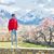 Ahmed Javed's profile image