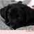 Holly B.'s profile image
