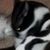 Karin Margaret's profile image
