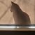 Carol Muscari's profile image