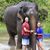 Jonalee DeNoble's profile image