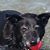 Brad Bohmer's profile image