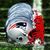 Warren Glazer's profile image