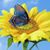 Glenda L. Hammer Mahan's profile image