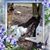 Meg Rasmussen's profile image