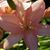 Linda Owen's profile image