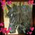 Patty Dollard's profile image