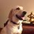 Ken Trauthwein's profile image