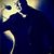 Davi Musica's profile image