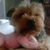 Helen Alonso's profile image
