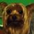 Jackie Scarborough's profile image