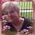 Marilyn Kay McGuire Dearwester's profile image