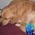 Marilyn Morris Ormond's profile image