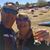 Cindy Tommy Tochtrop's profile image