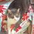 Kristin Hattendorf's profile image