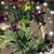 Mary Hayes's profile image