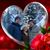 Tina Compton's profile image