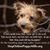 Kathy Burnett's profile image