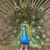 Jenny Oudin Eichhorst's profile image